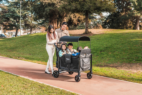 lightweight 4 seat stroller with large wheels and a hood for babies, twins, or toddler
