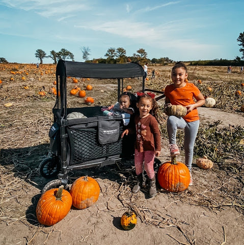 Kids gathered around a stroller wagon enjoying their pumpkin patch time