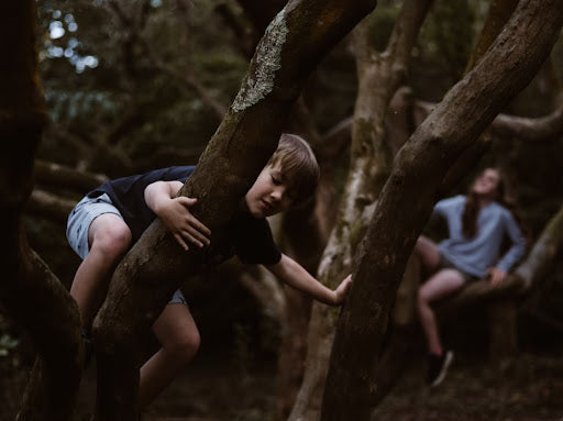 A boy and a girl climbing trees in the woods