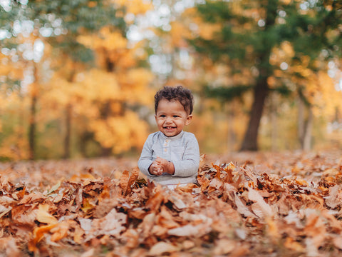 Toddler boy sitting in a pile of fallen fall leaves at a park.