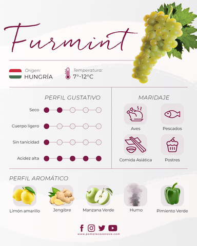 Variedad Furmint 