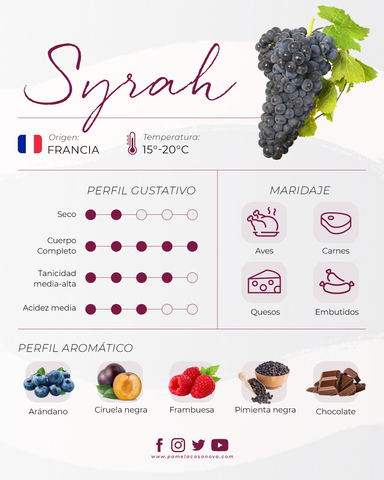 Infografía Syrah