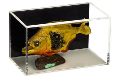 Clockwork Piranha with the horizontal black back wall mount display case