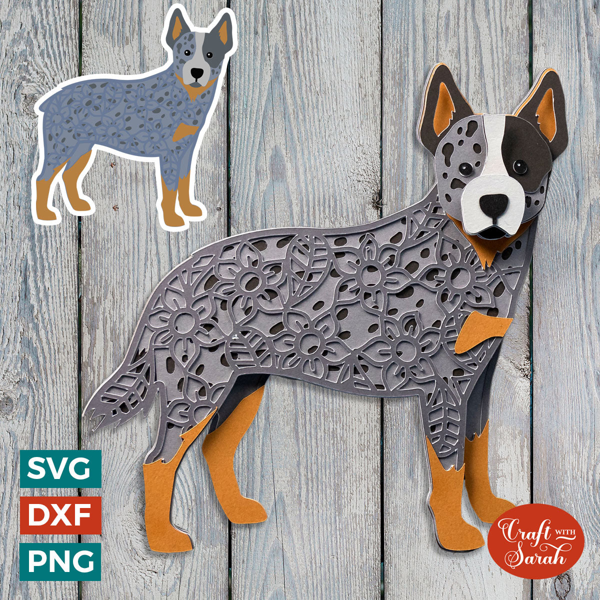 can a australian cattle dog live in south africa