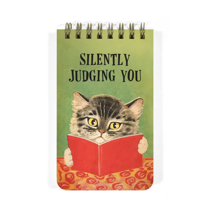 SILENTLY JUDGING YOU - FUNNY 3x5 SPIRAL MEMO NOTEPAD