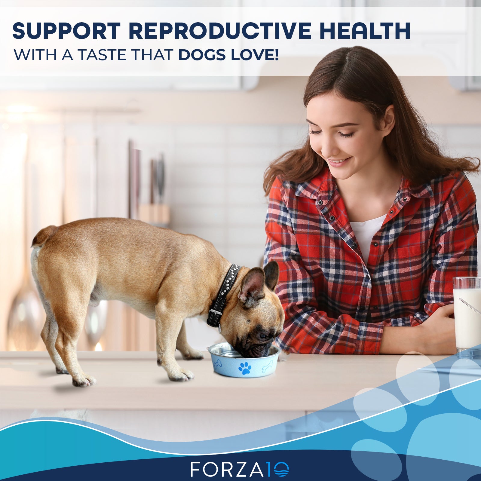 female dog reproduction