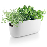 White herb container shown with three different herbs