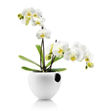 White self-watering orchid planter shown with two branches of orchids