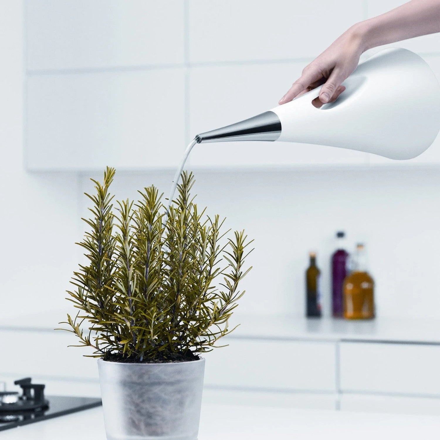 Eva Solo watering can used on plant