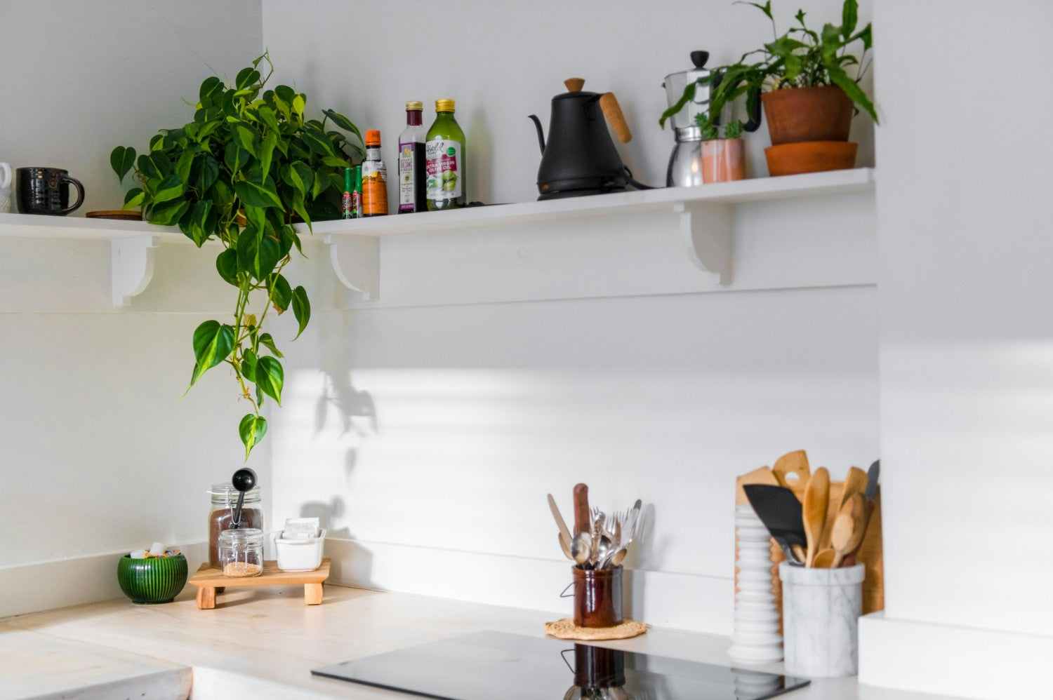 Kitchen shelves with plants and cooking utensils