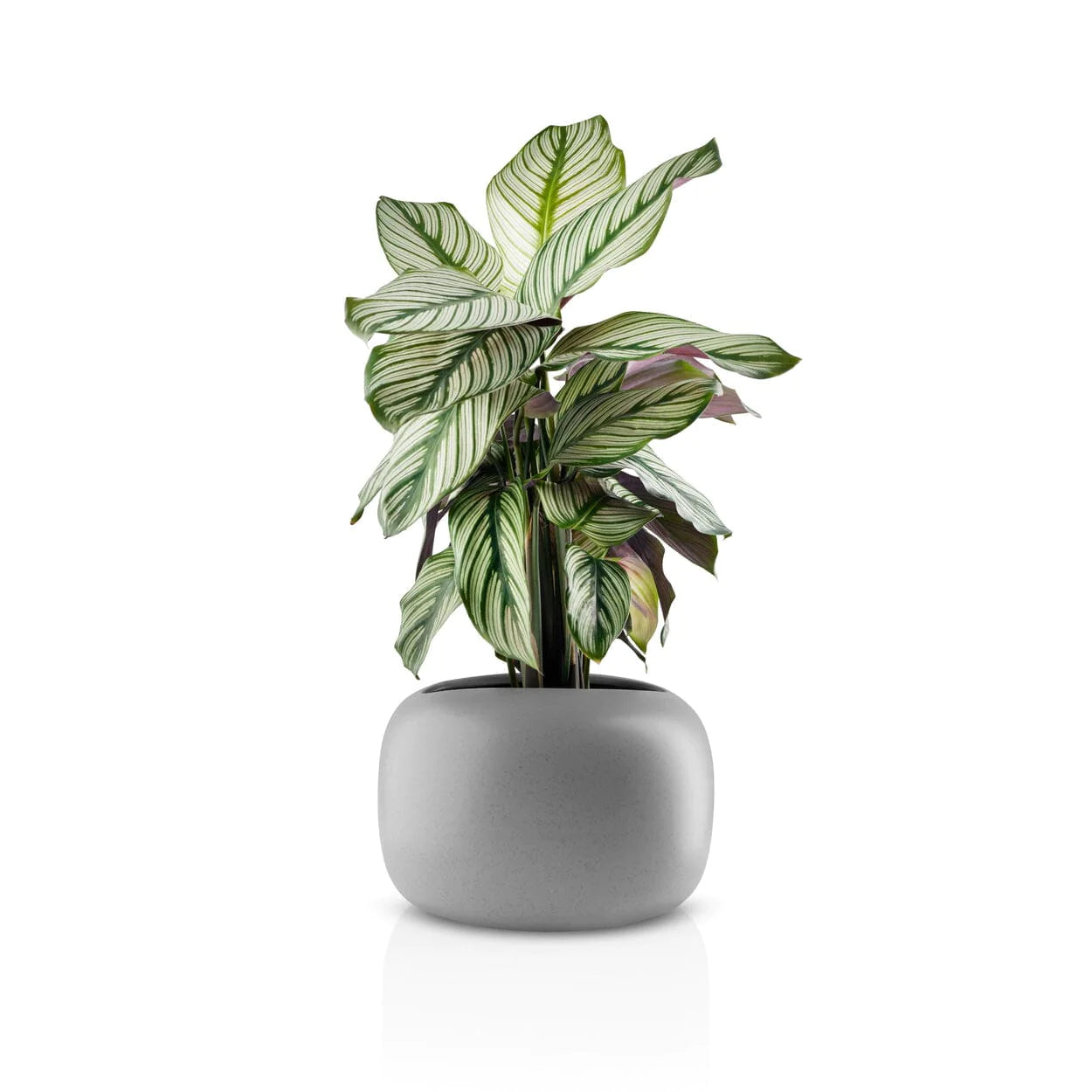 Modern planter in bedroom