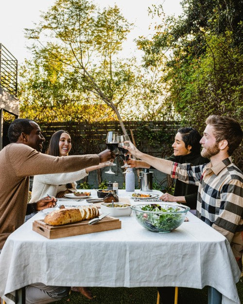 Group toasting their wine glasses with red wine