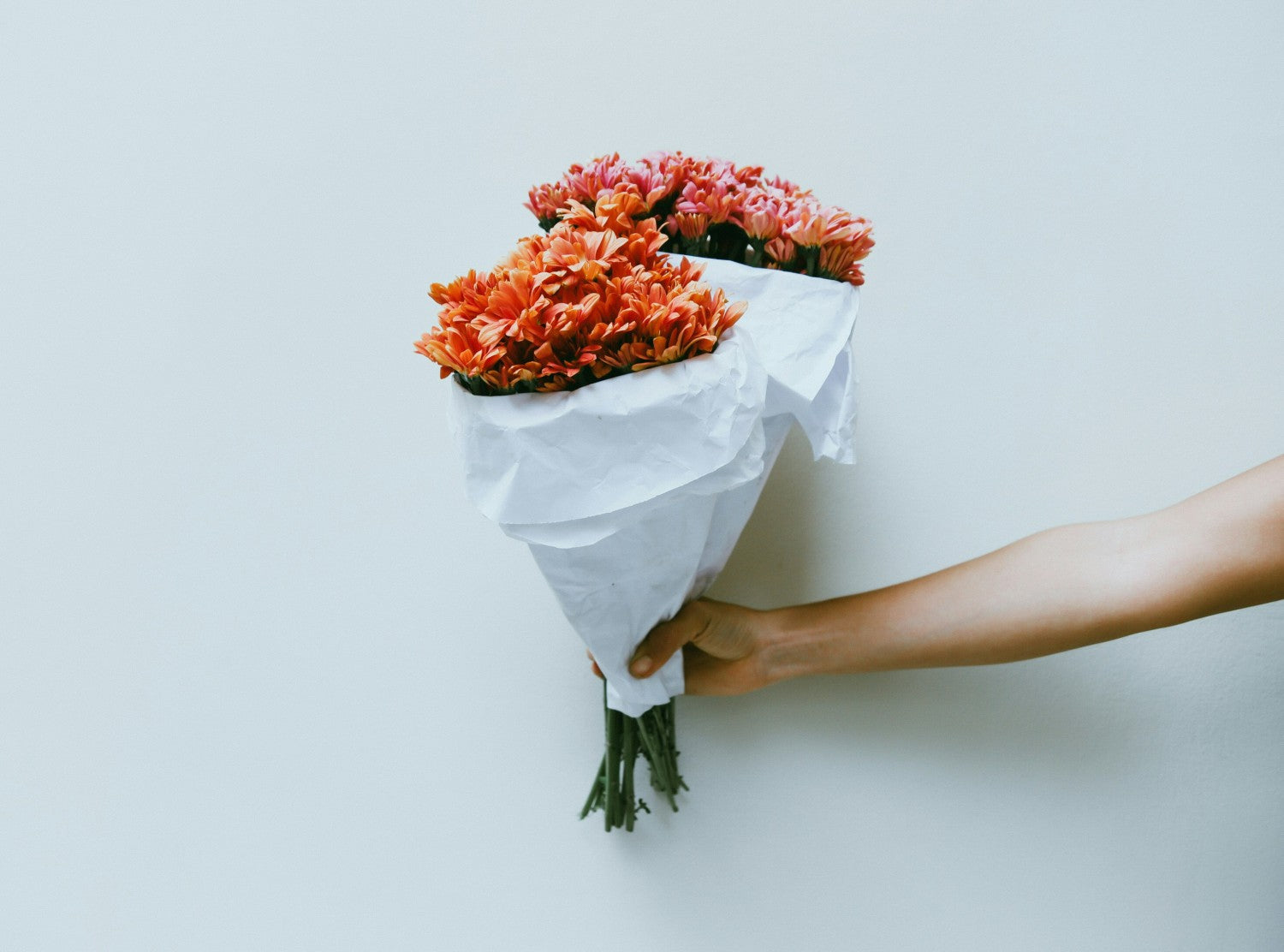 Hand holding two bouquets of flowers