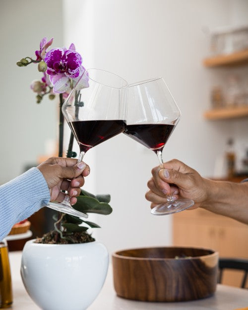 Two people cheers with wine glasses