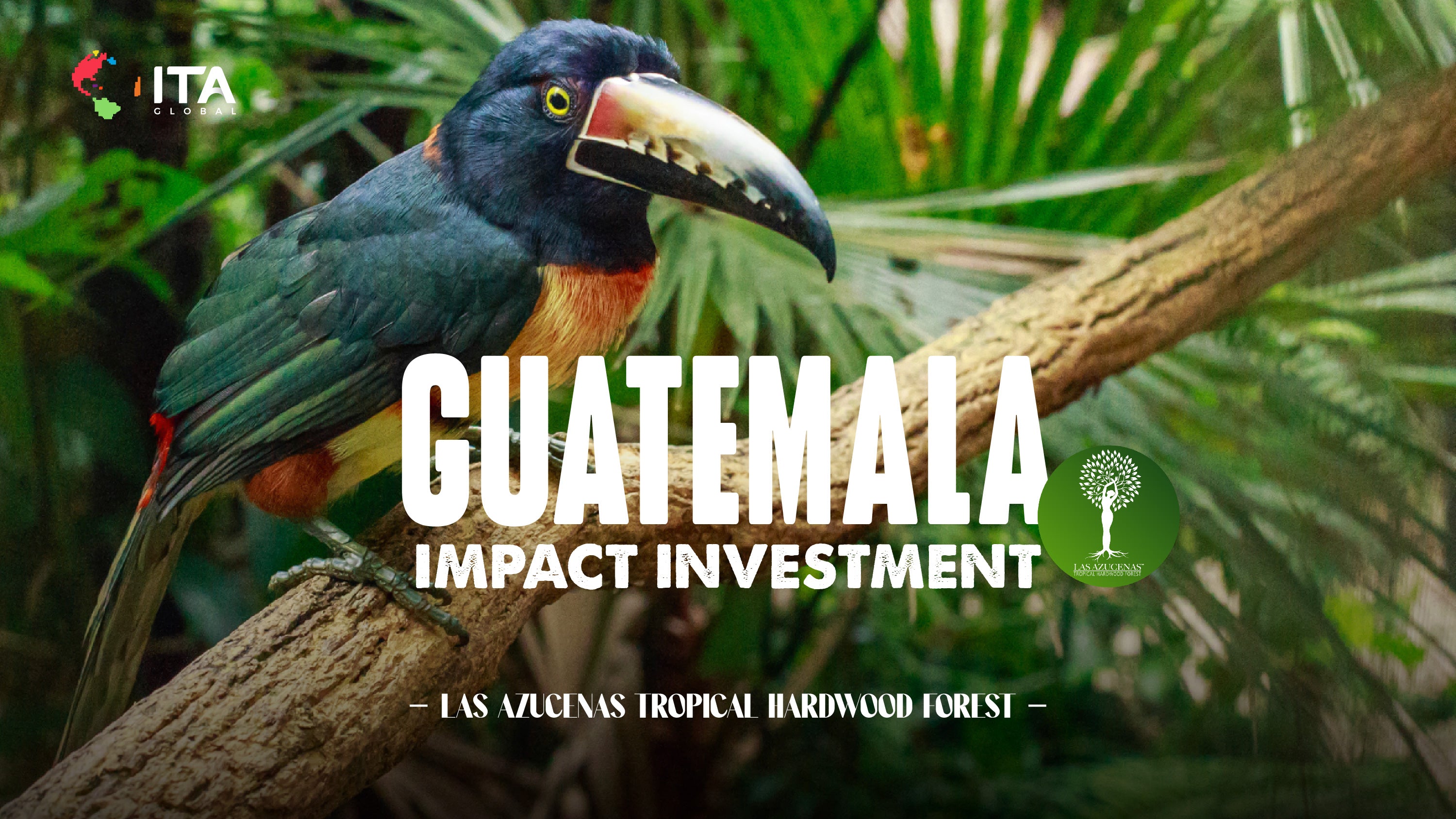 Guatemala-Impact-Investments-slide