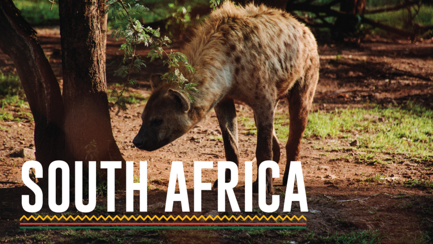 South Africa Luxury Safari Vacation package