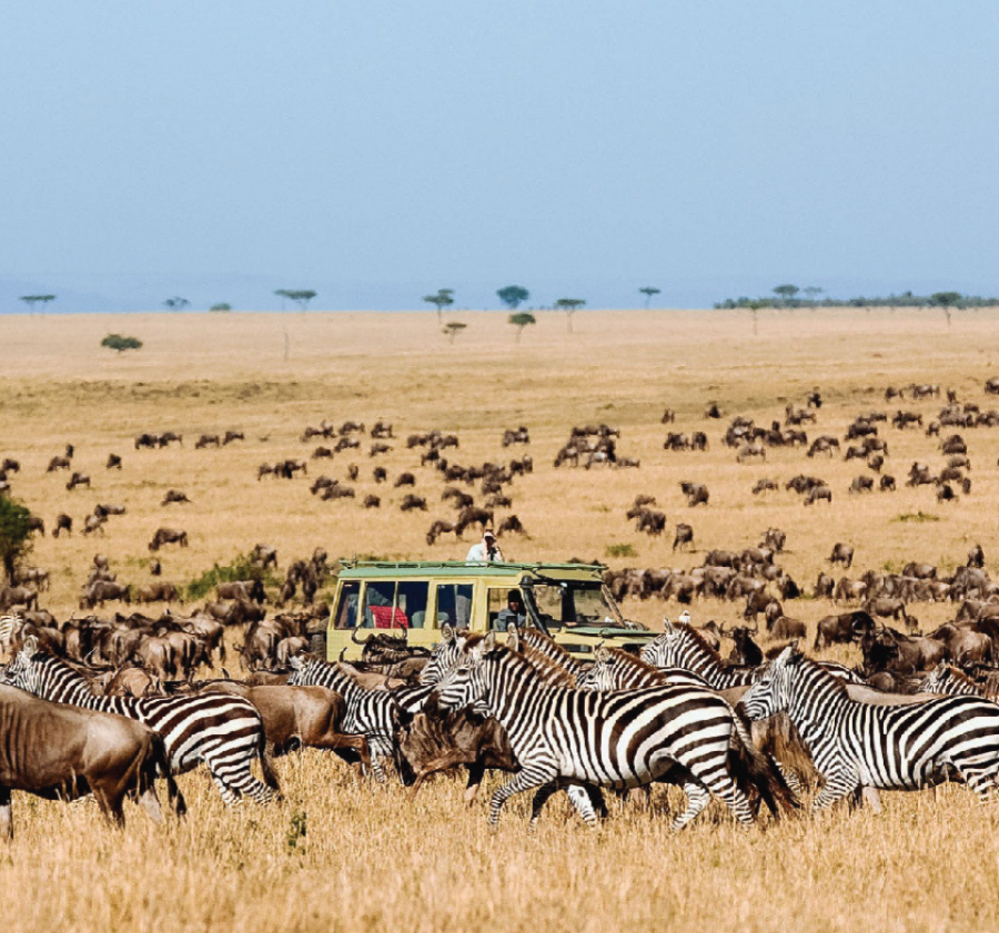 Tanzania African Safari vacation package
