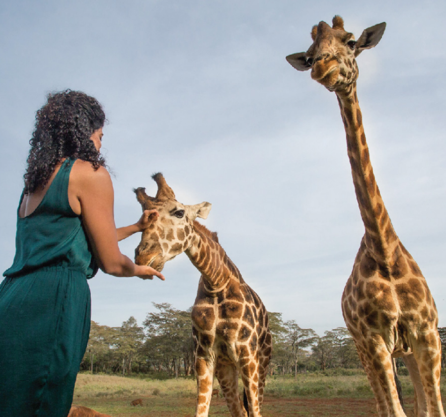 Safari in Cape Town