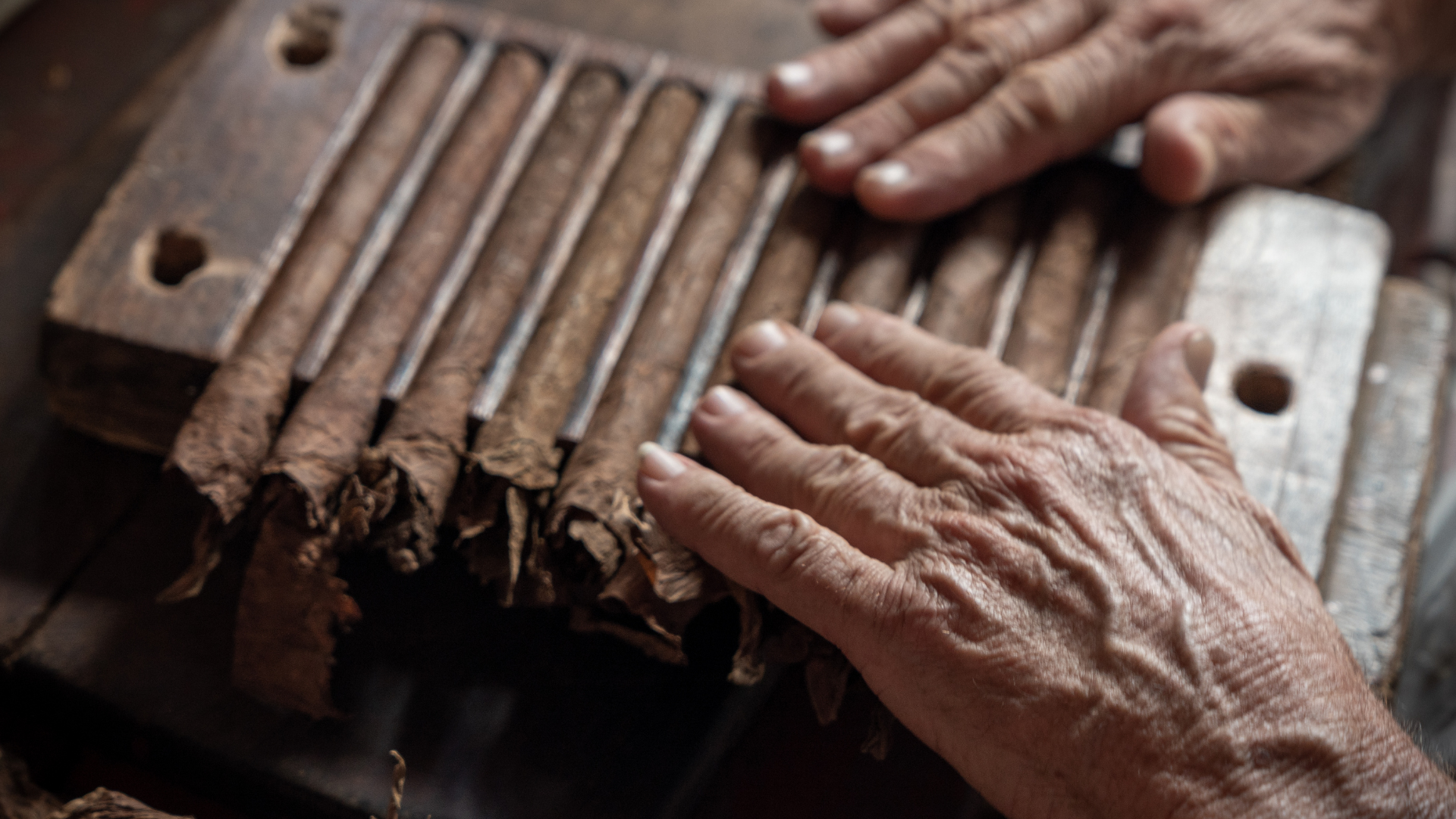 day2-cigar-factory-tours-img3