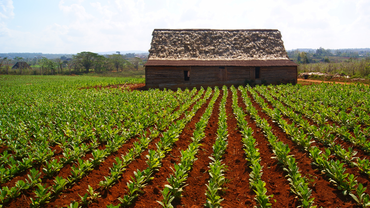 day3-best-of-esteli-img3