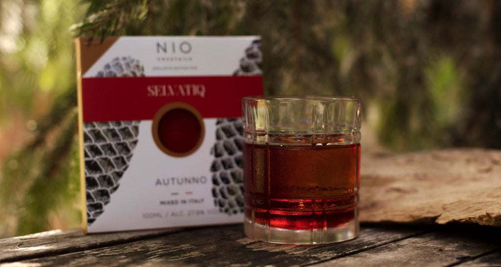Autunno Cocktail Drinks italiani Nio + Selvatiq