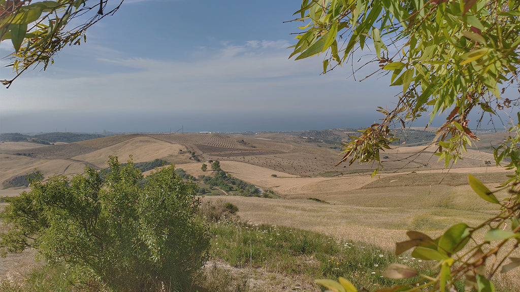 Campagna siciliana vista dalla collina 