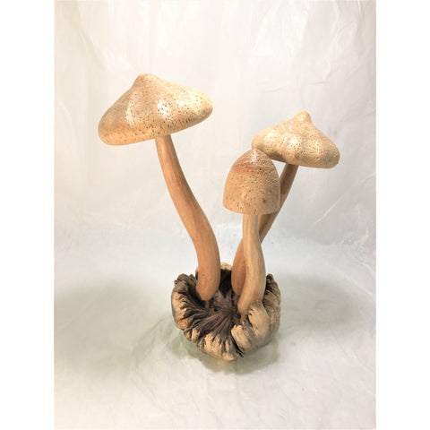 Hand Craved Wooden Mushrooms