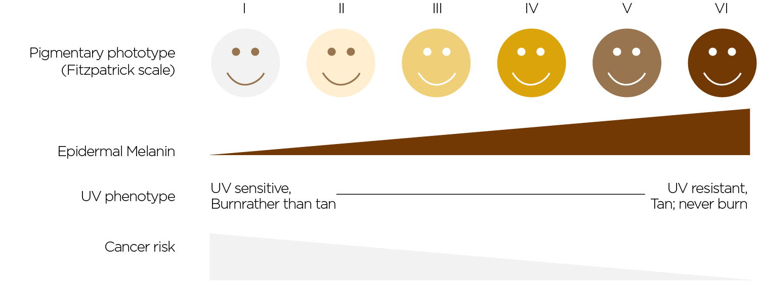 Fitzpatrick_Scale-2