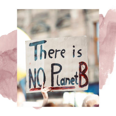 There is no planet B sign being held by someone in a crowd