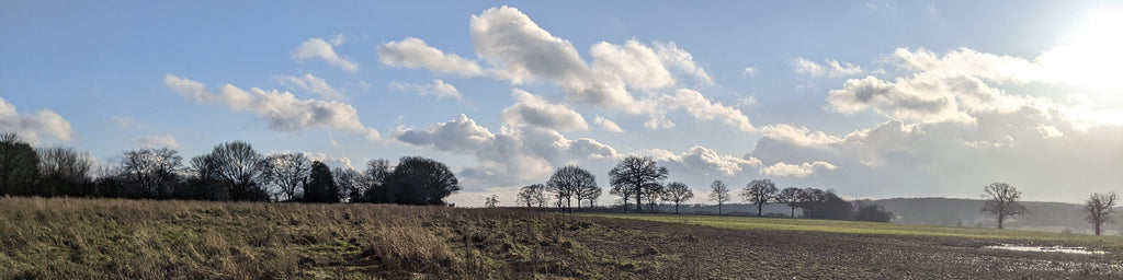 View across fields in Batchwood, St Albans