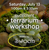 Workshop: DIY Succulent Terrariums at Swoon, Milwaukee, WI - July 13, 2024