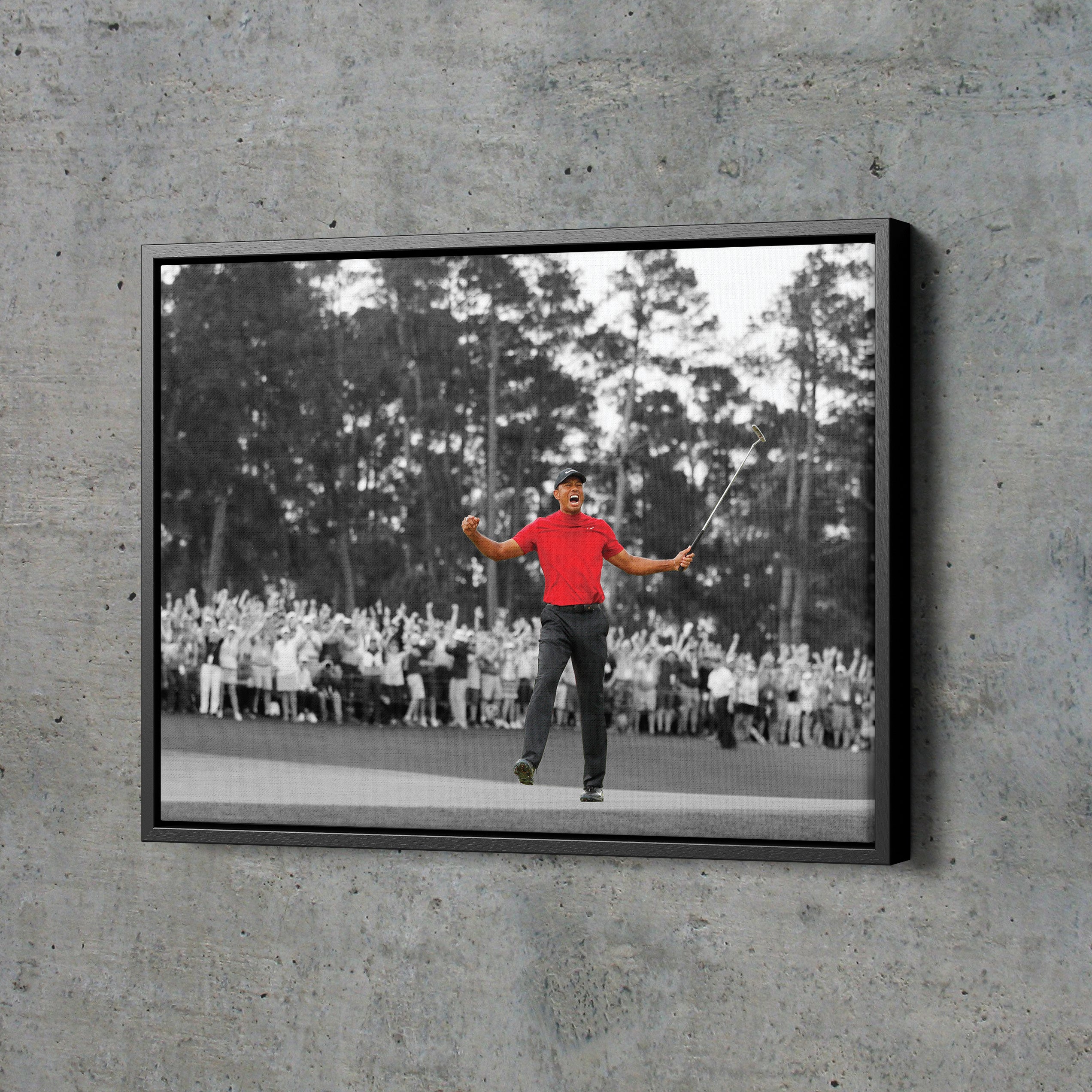 tiger woods canvas