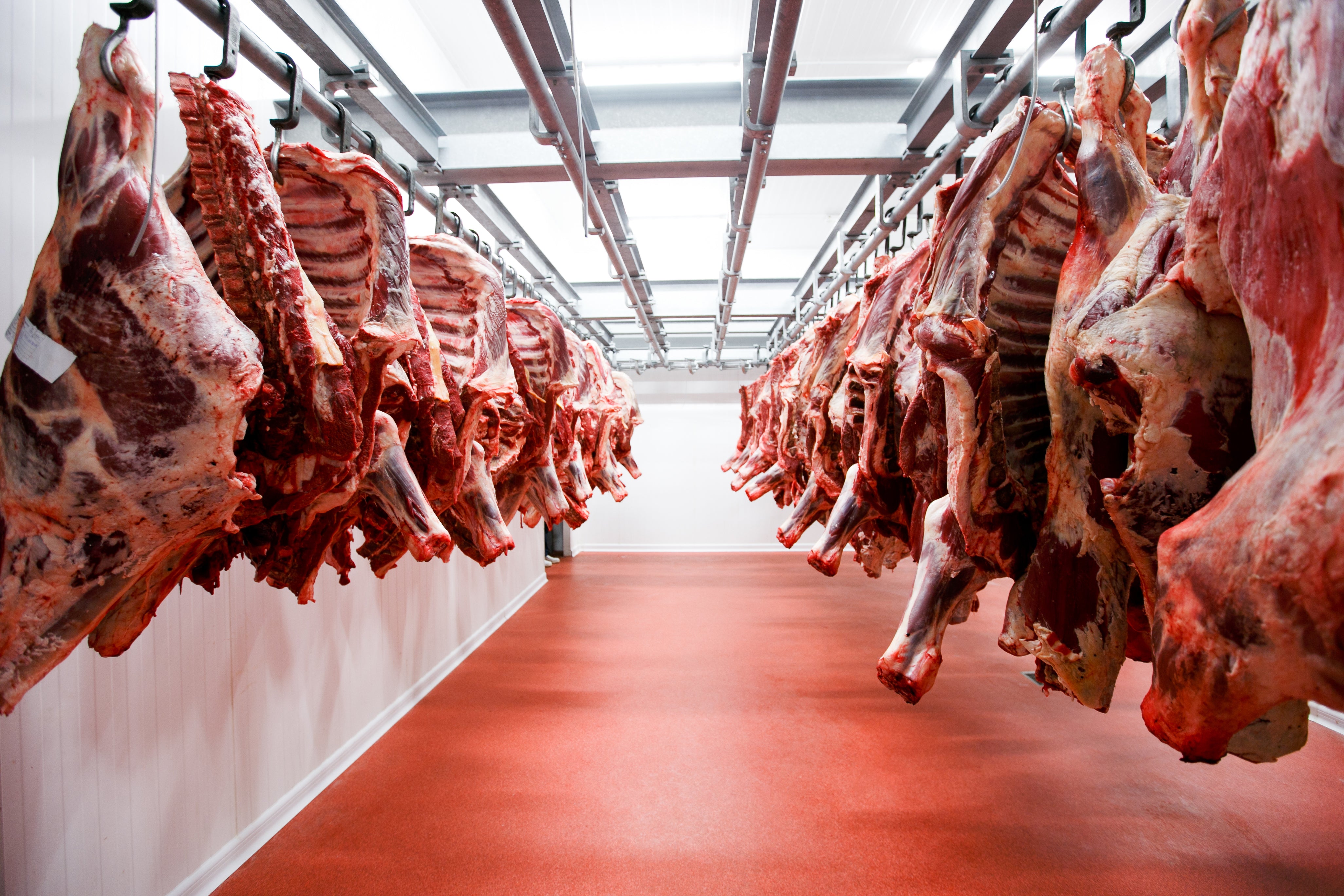 Meat Cutting Facilities - Meatworld International, Inc.