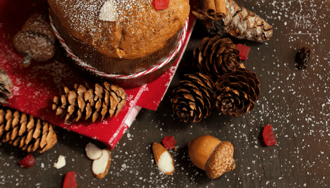 Panettone surrounded by cones as part of the Christmas trivia blog post, 10 facts you didn't know about panettone