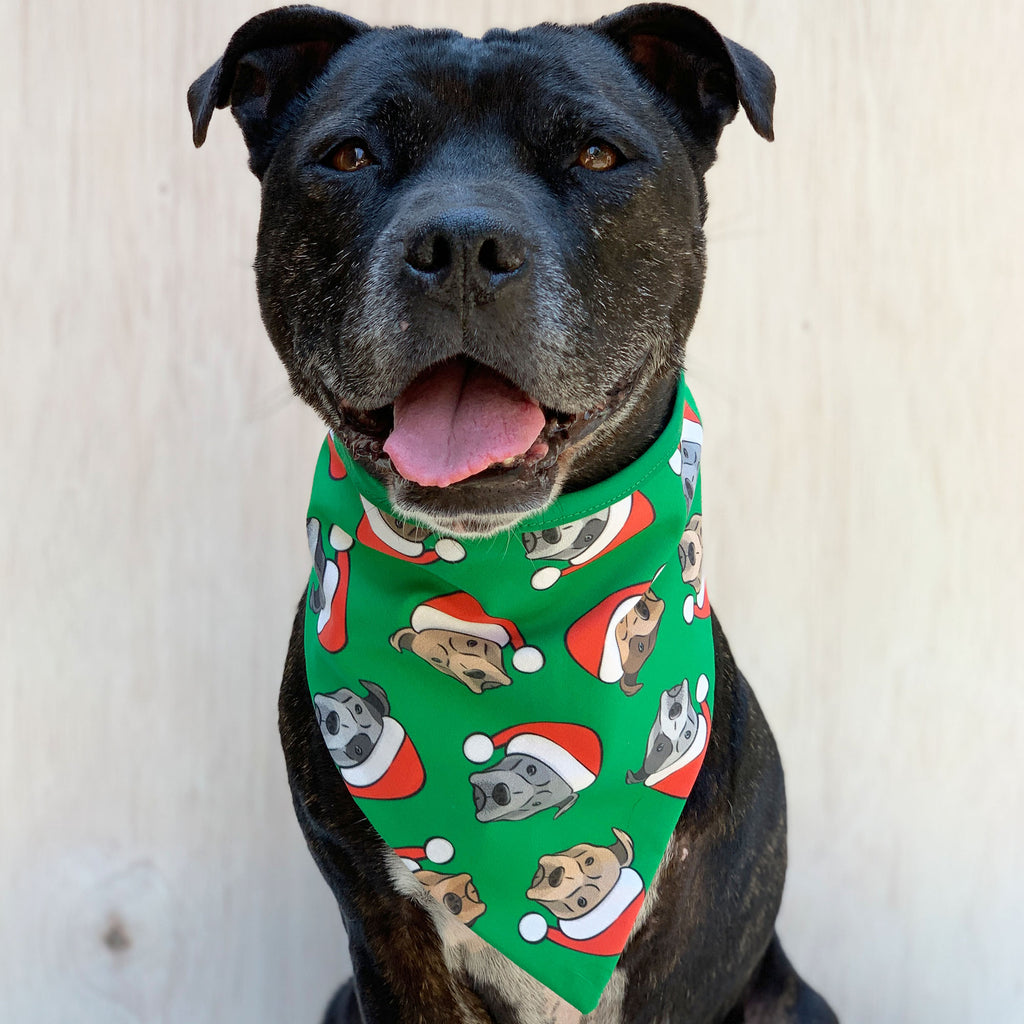 dog christmas bandana australia