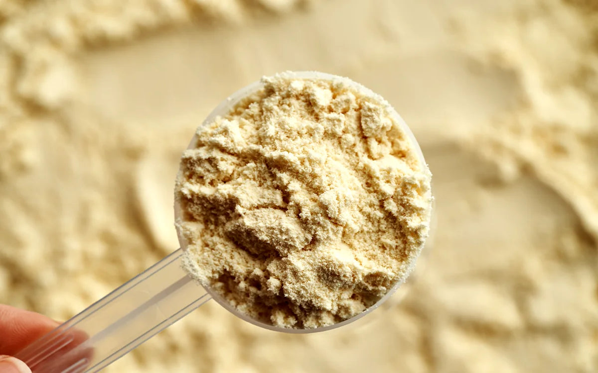 Scoop Of Protein Powder