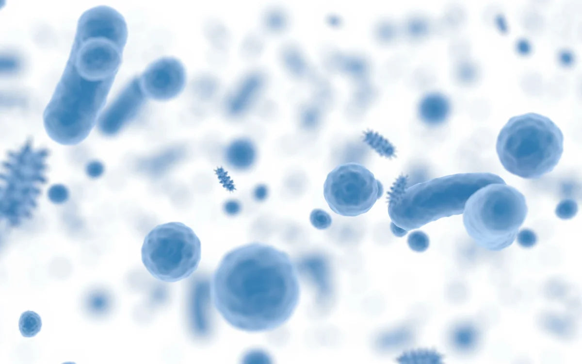microbiome graphic