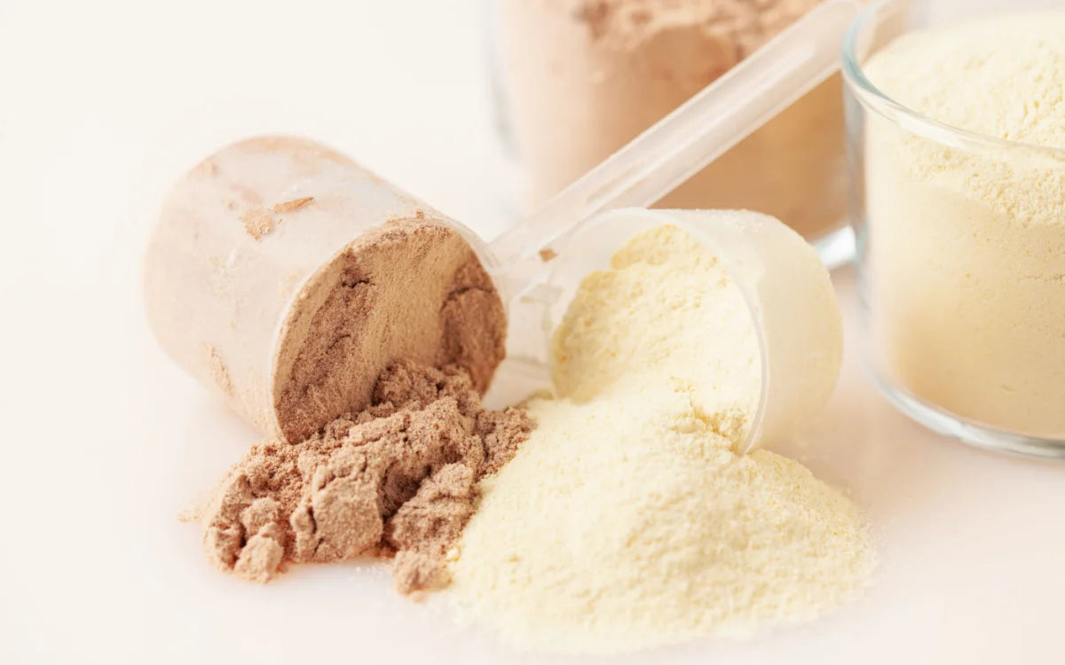 protein powder with scoop