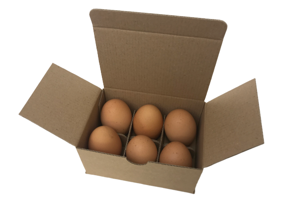 BHWT - Dairi-Pak 6-Egg Corrugated Cardboard Boxes