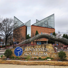 Tennessee Aquarium Rugged Nation