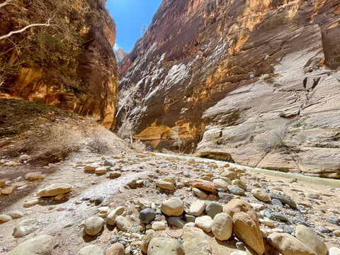 Canyoneering The Narrows - Hiking Zion National Park