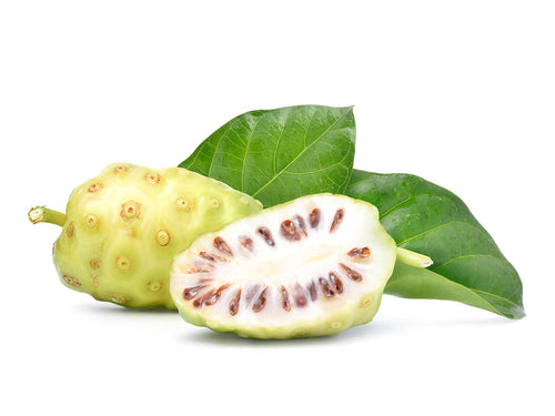 Noni Fruit