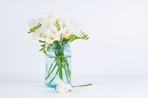White flowers in an aqua colored glass mason jar on a white background