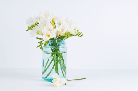 A fresh bouquet arrangement of white flowers is pictured inside a mason jar vase.