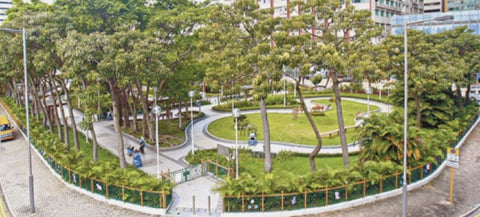 Kwun Tong Ferry Pier Square Pet Garden