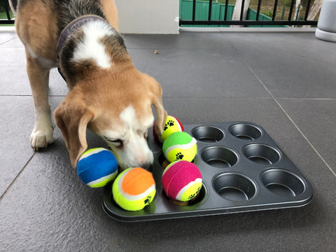 DIY Dog Treats Muffin tray