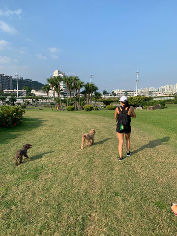 Sha Tin Penfold Dog Park