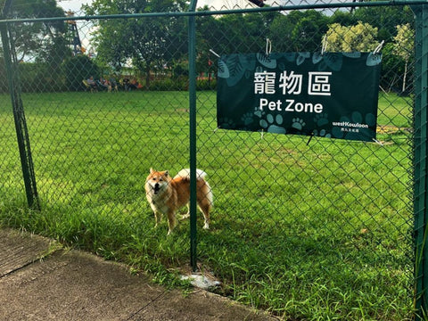 West Kowloon Cultural District Dog Park