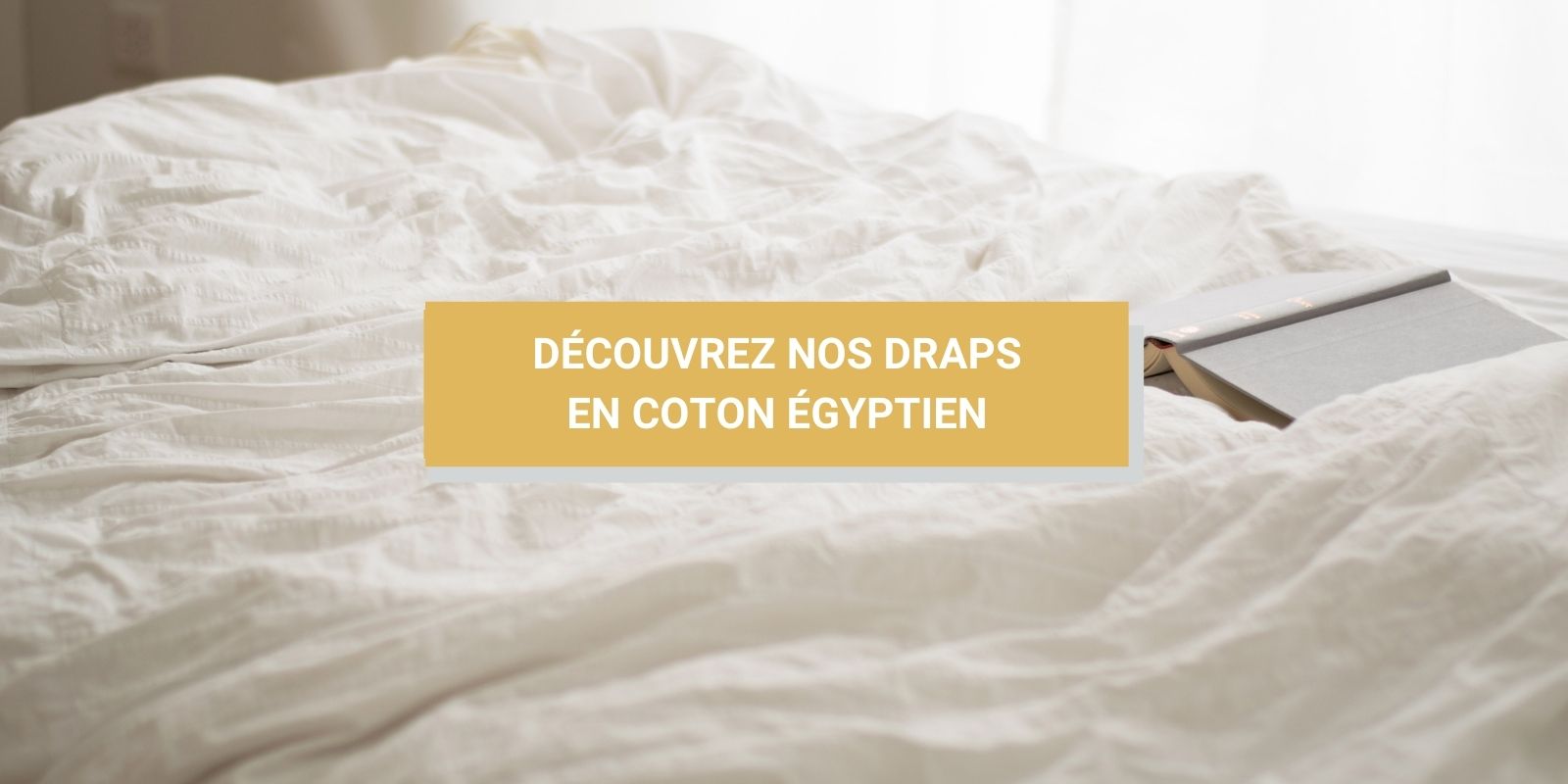 drap coton égyptien