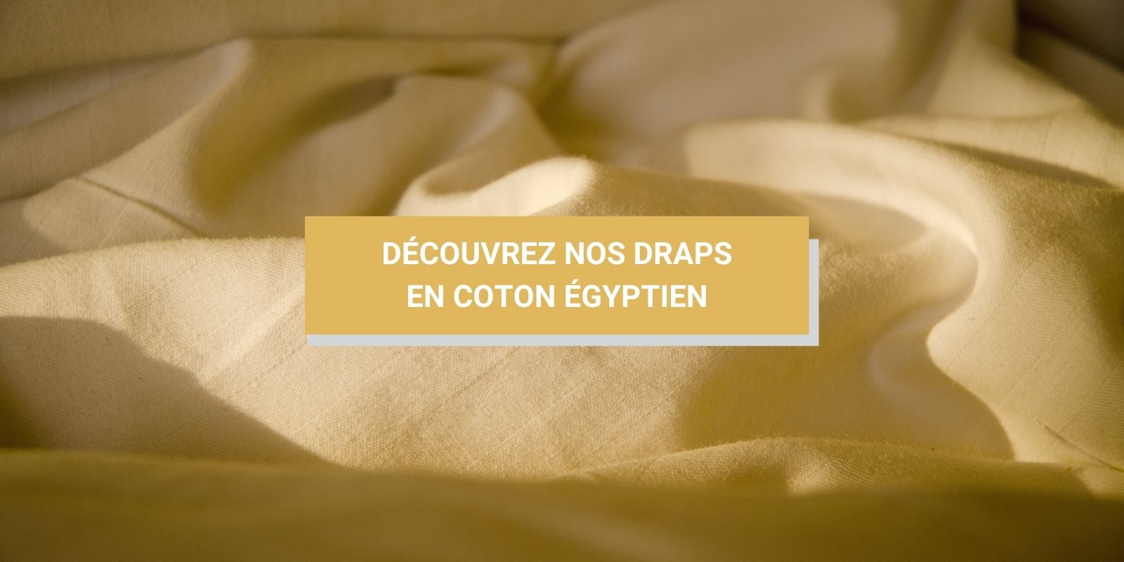 drap coton égyptien